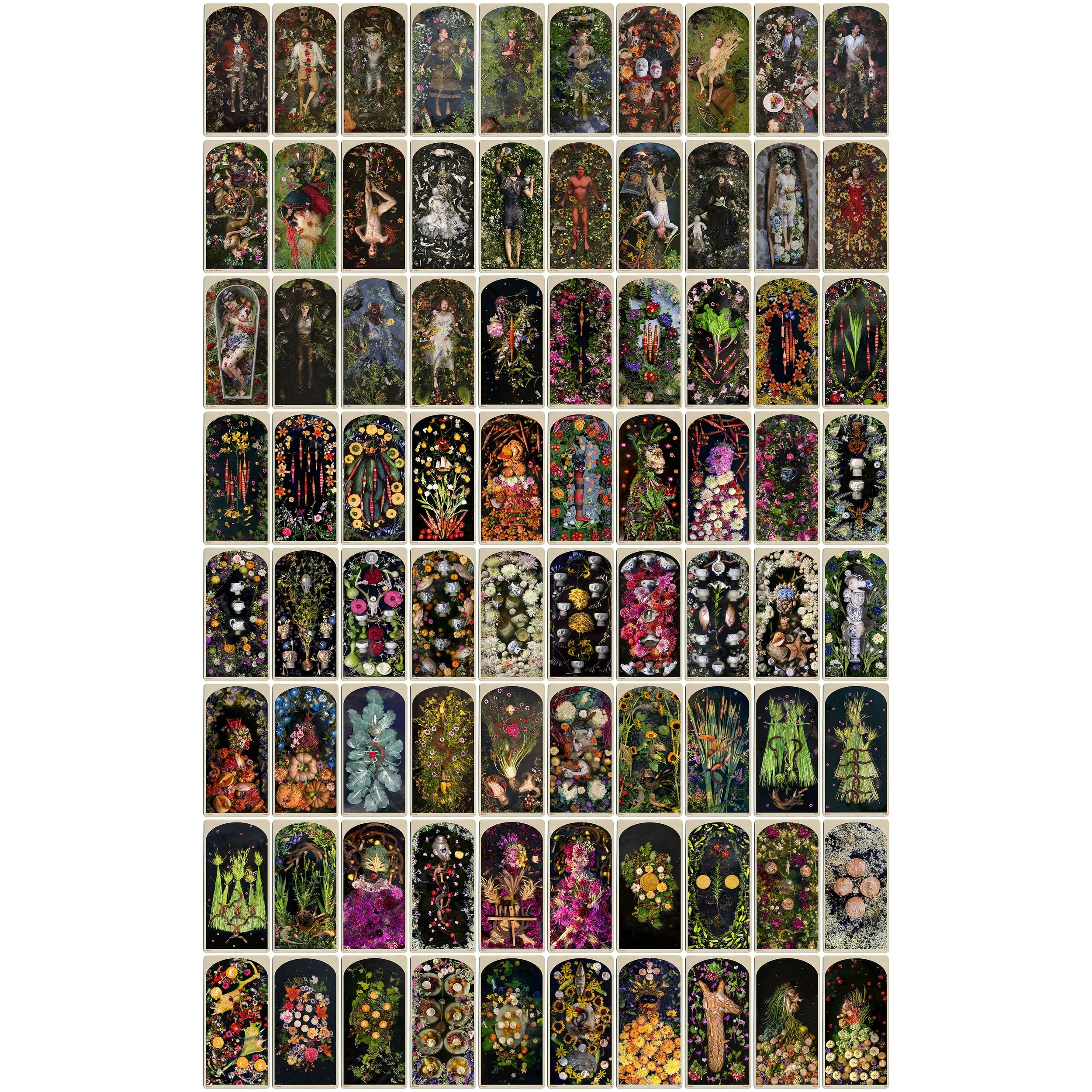 The DROWNING WORLD Tarot Deck & Guidebook — KAHN & SELESNICK